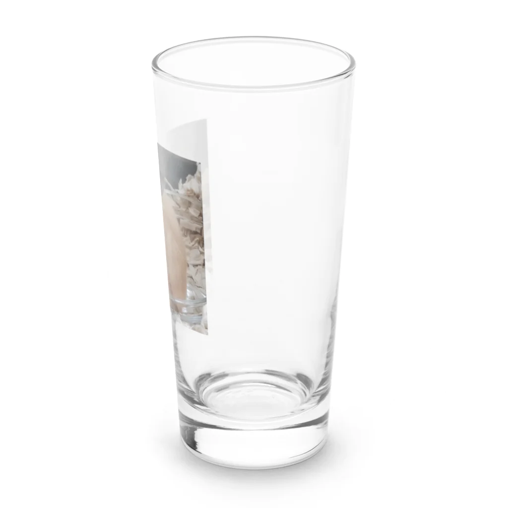 アヤナシトリィSHOPのおつきみ日誌　我が名はつきみ。金熊王朝ハムホテプトラ１世つきみ。 Long Sized Water Glass :right