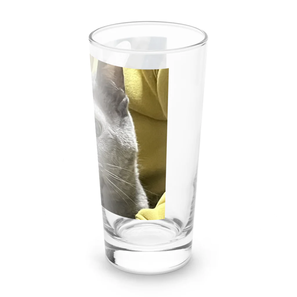 あこの実家の猫 Long Sized Water Glass :right