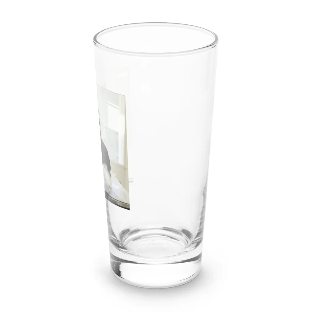 ハピココちゃんねる【グッズ】のハピココちゃんねる【ココア】 Long Sized Water Glass :right