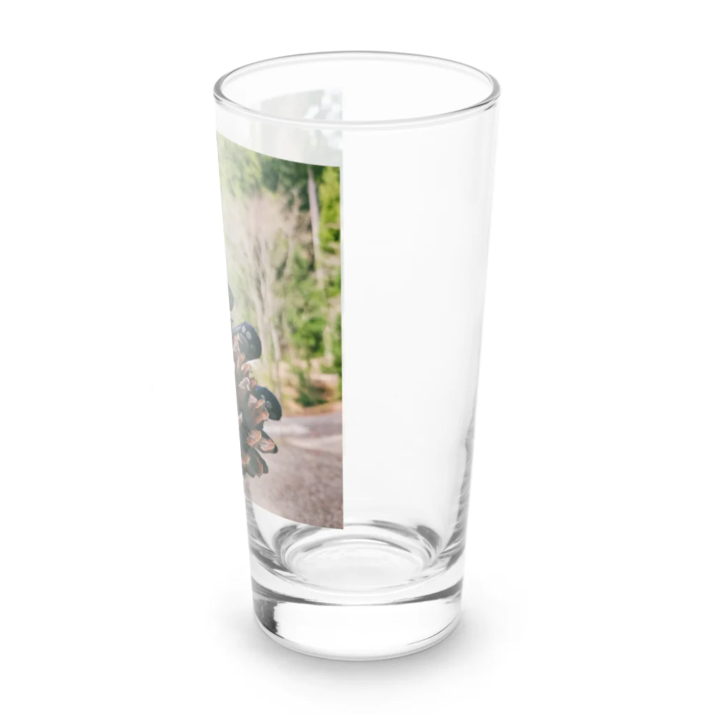 ViViの松ぼっくり正方形 Long Sized Water Glass :right