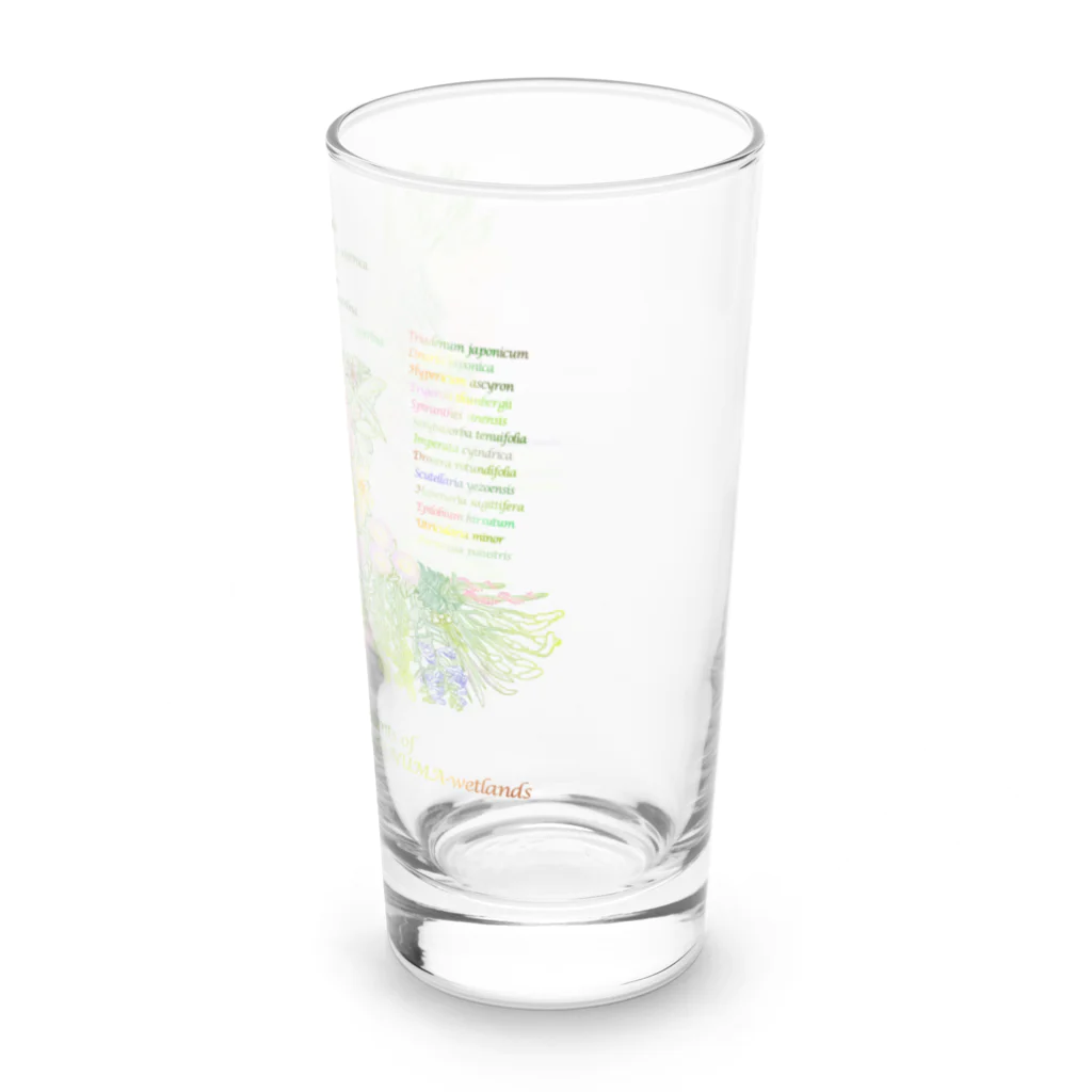 雁花工房（寄付アイテム販売中です）のWild plants of HOTOKENUMA-wetlands（色付き） Long Sized Water Glass :right