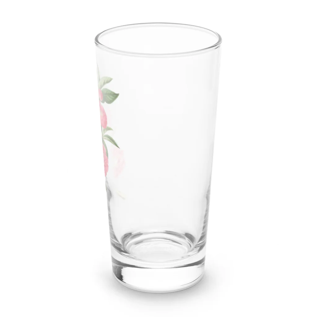 ボタニカルアートのボタニカルアート Long Sized Water Glass :right