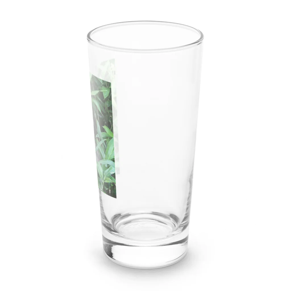 shockerのニホンザルグッズ Long Sized Water Glass :right