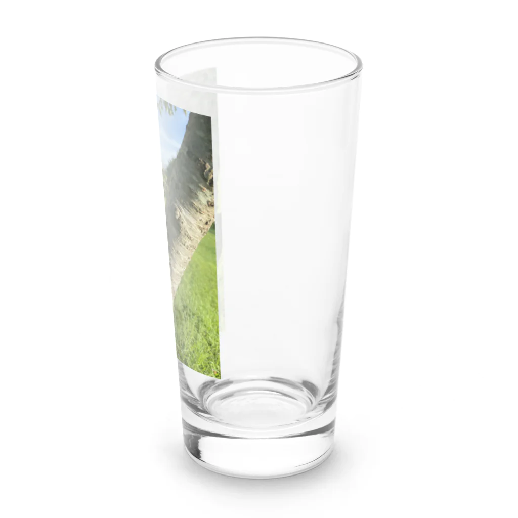 HIROMI10のニイニイゼミ Long Sized Water Glass :right