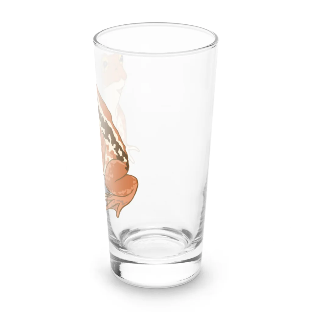 LalaHangeulのヒキガエルさん　文字無し Long Sized Water Glass :right