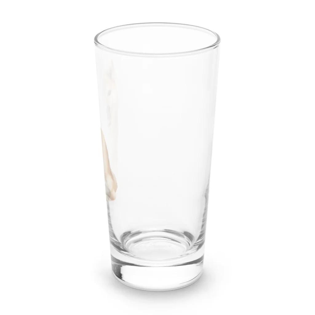 azu azureの柴犬チビちゃん Long Sized Water Glass :right