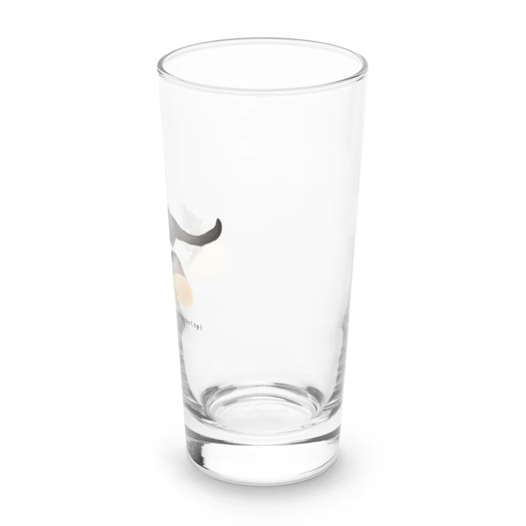 小鳥と映画館の一生懸命爪研ぎする猫 Long Sized Water Glass :right