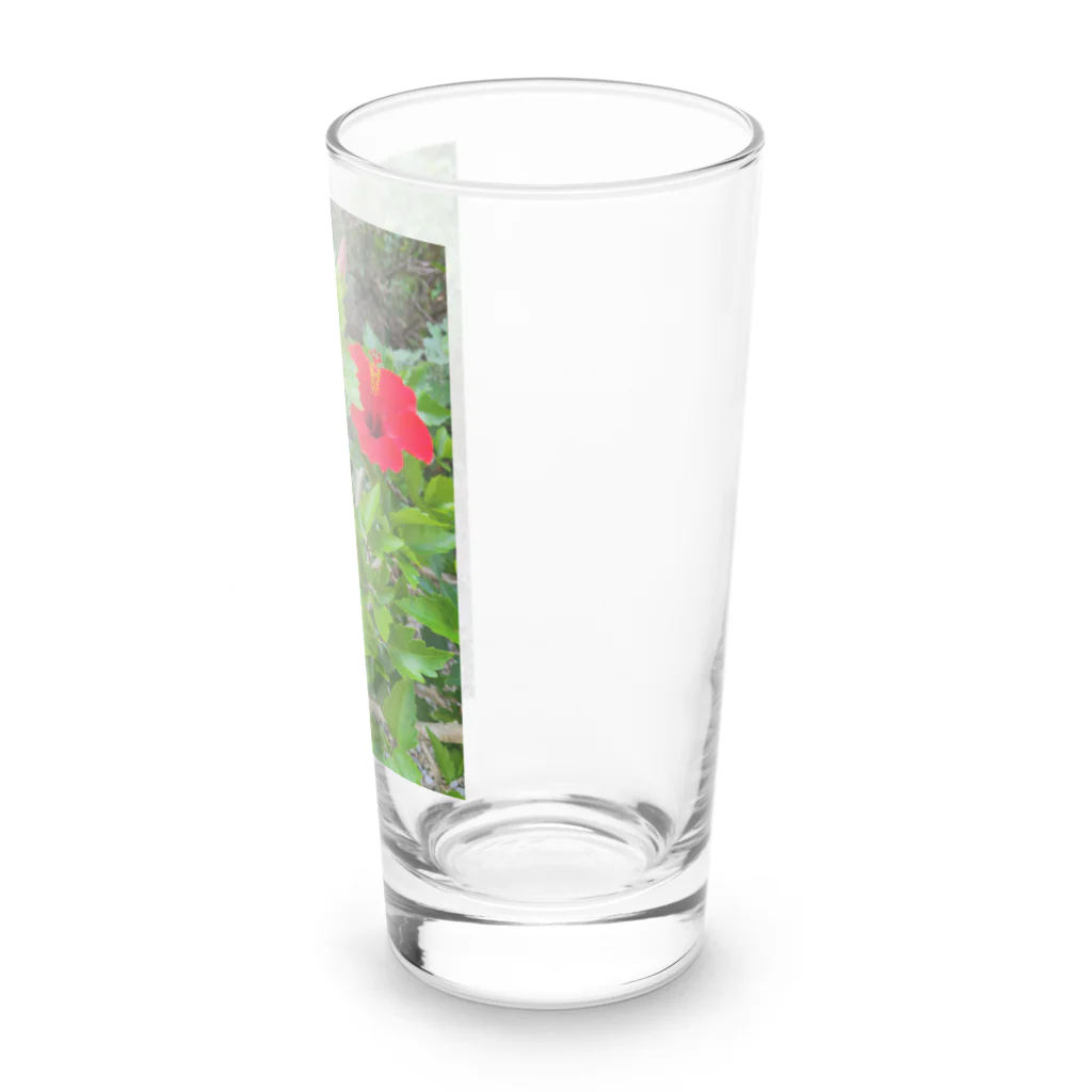 東綬のハイビスカス🌺ペア Long Sized Water Glass :right