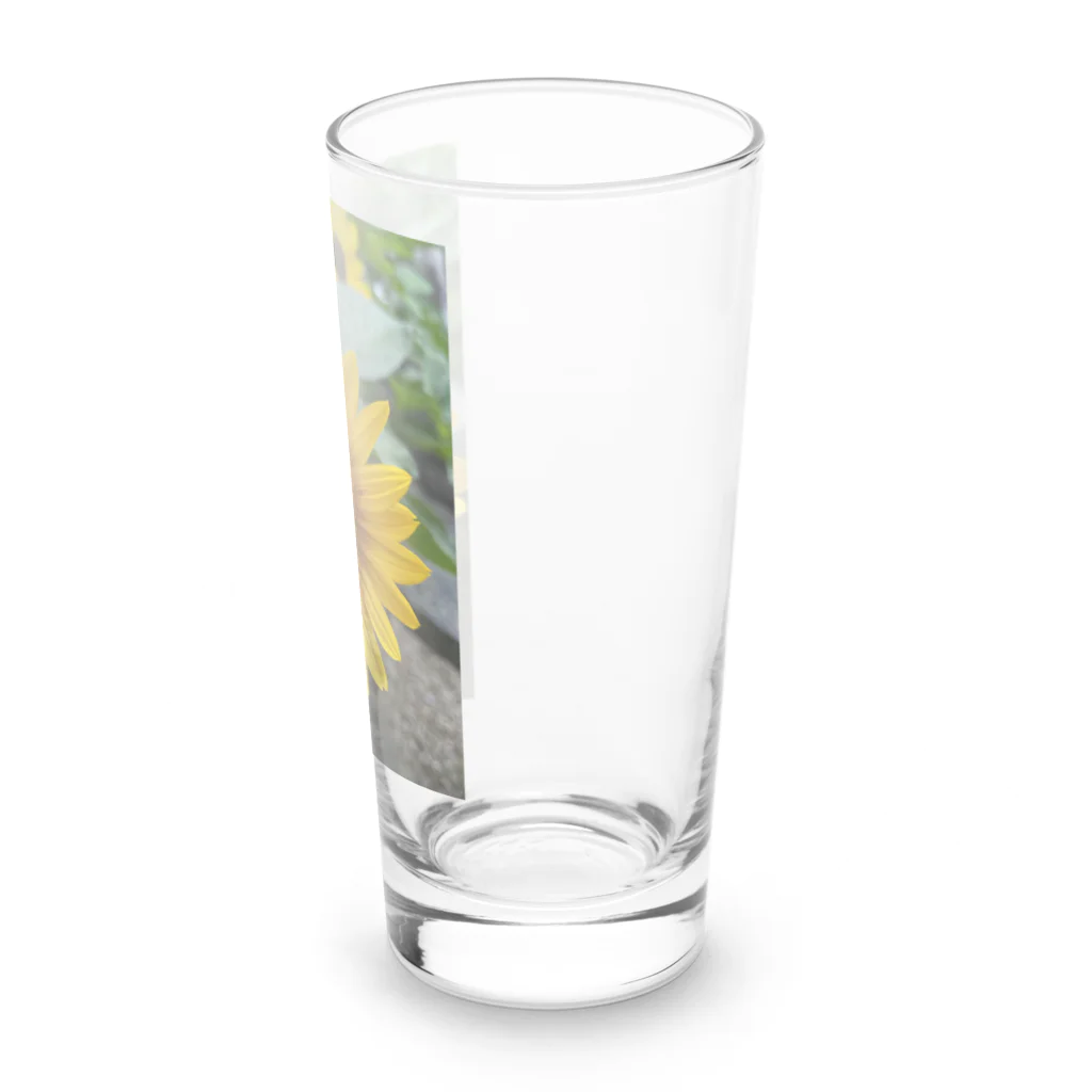 ま〜ぶる　ま〜ぶるのちょっぴり　まぶしい　ひまわり Long Sized Water Glass :right