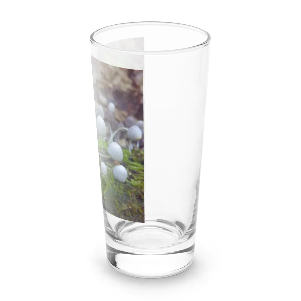 ミクロの不思議の国のキノコちゃん Long Sized Water Glass :right