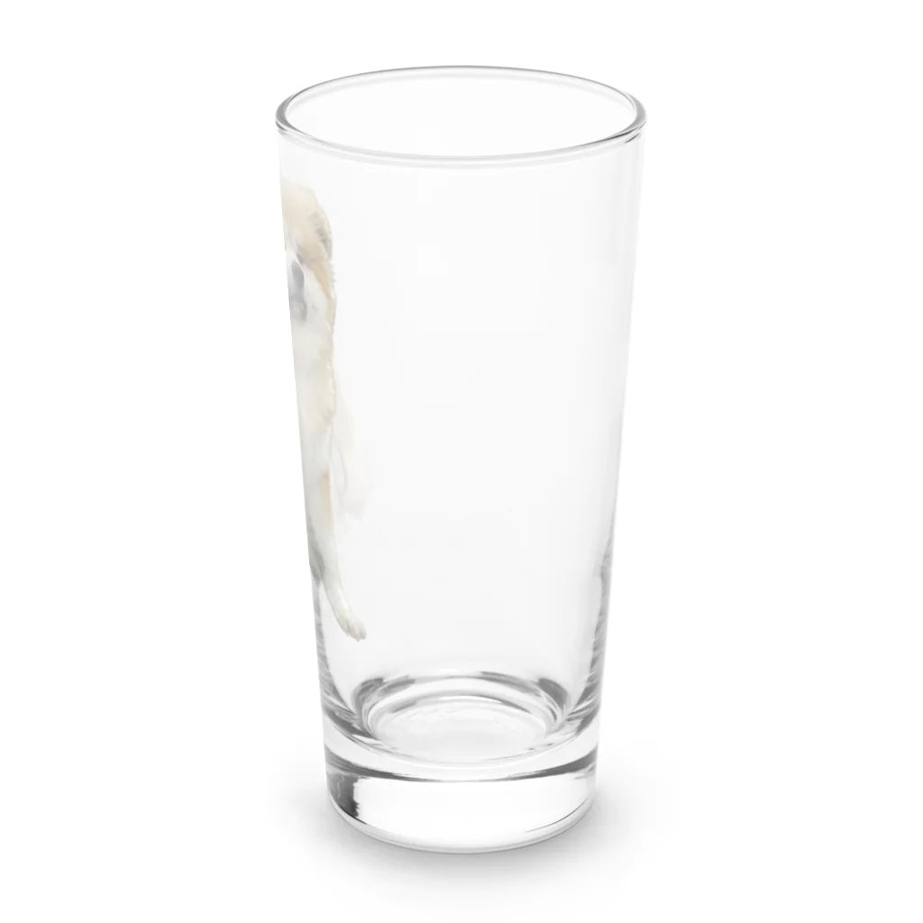 長毛秋田犬ししまるのししまるロンググラス Long Sized Water Glass :right