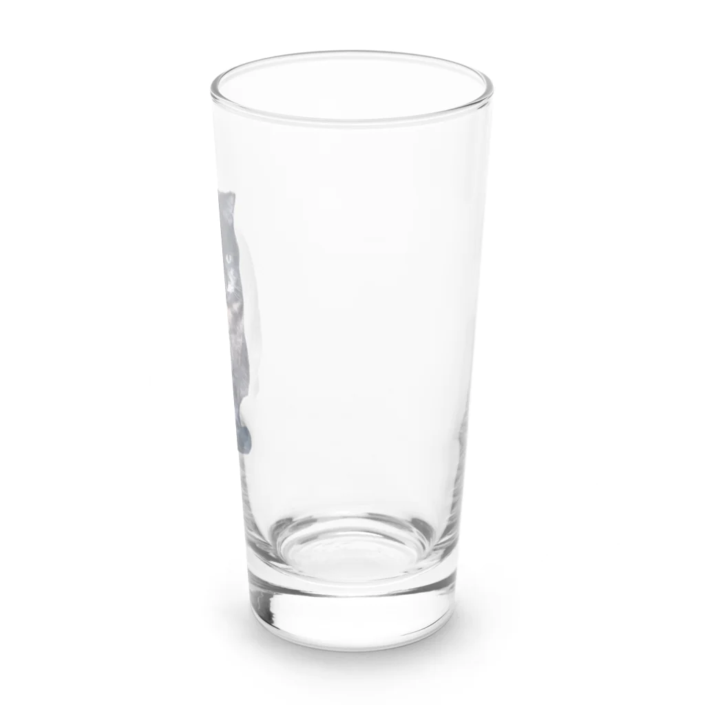 BEEEEEのおすましさびちゃん Long Sized Water Glass :right