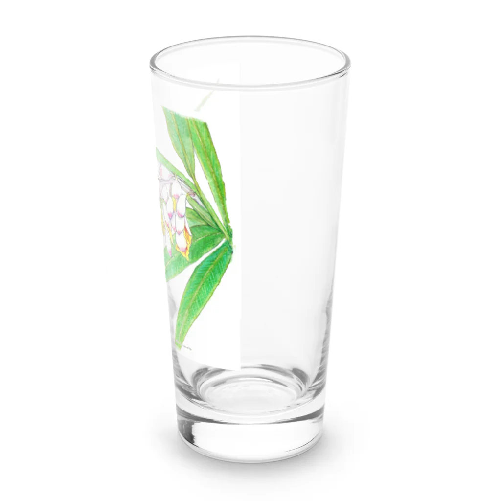 鈴猫堂の月桃シリーズ2 Long Sized Water Glass :right