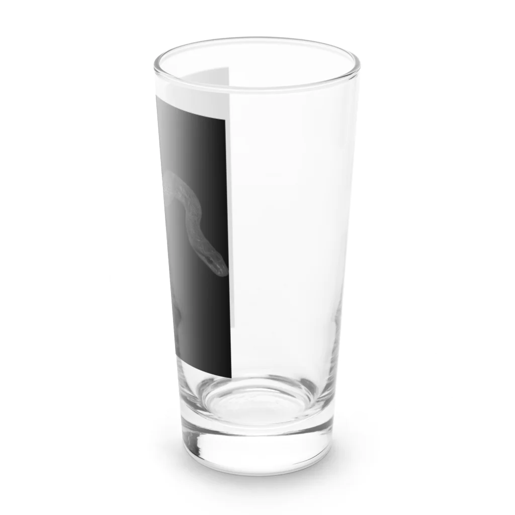 kowaniの美しいヘビ Long Sized Water Glass :right