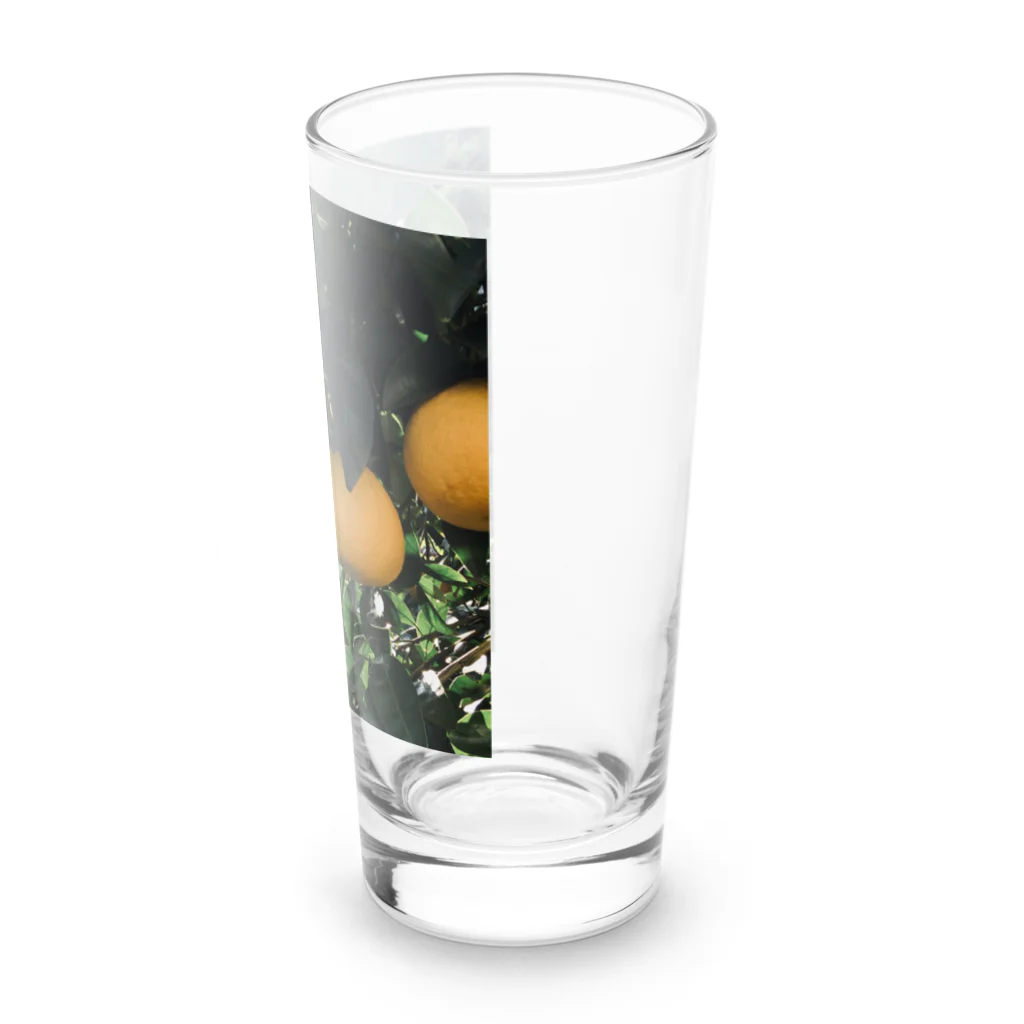 どーなつの柑橘系 Long Sized Water Glass :right