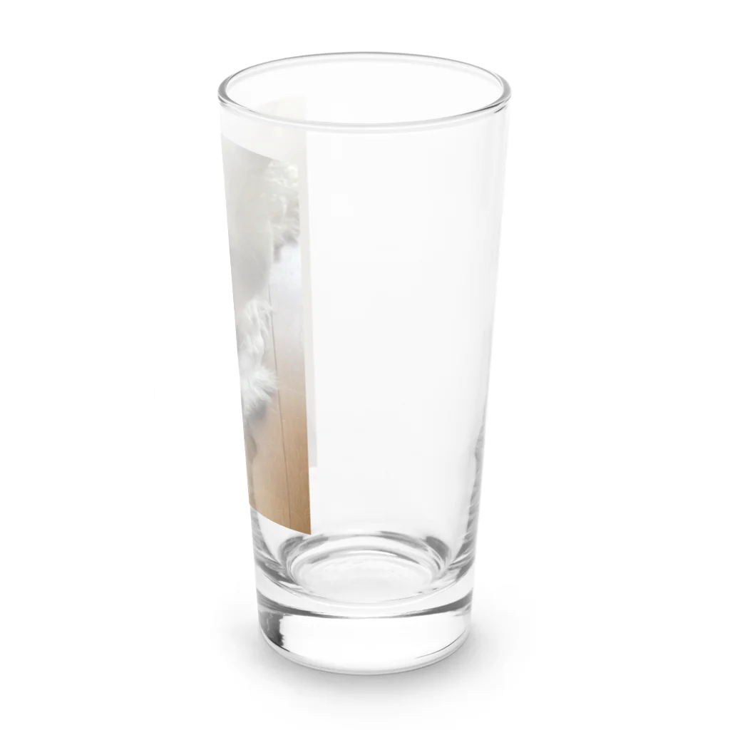 はなもうぽすぽすのリラックスはなもう Long Sized Water Glass :right