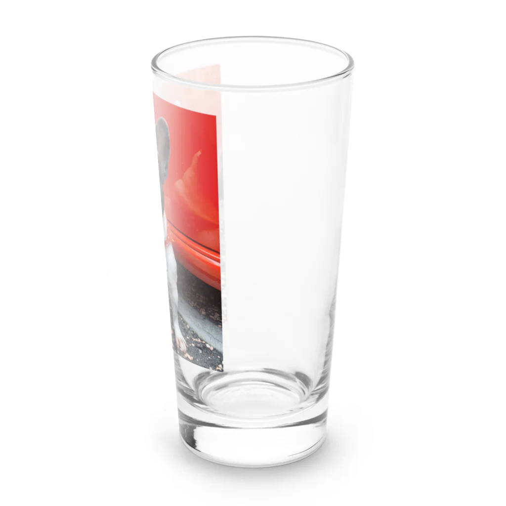 花鳥風月のフレブルはなっぷのHana  Long Sized Water Glass :right