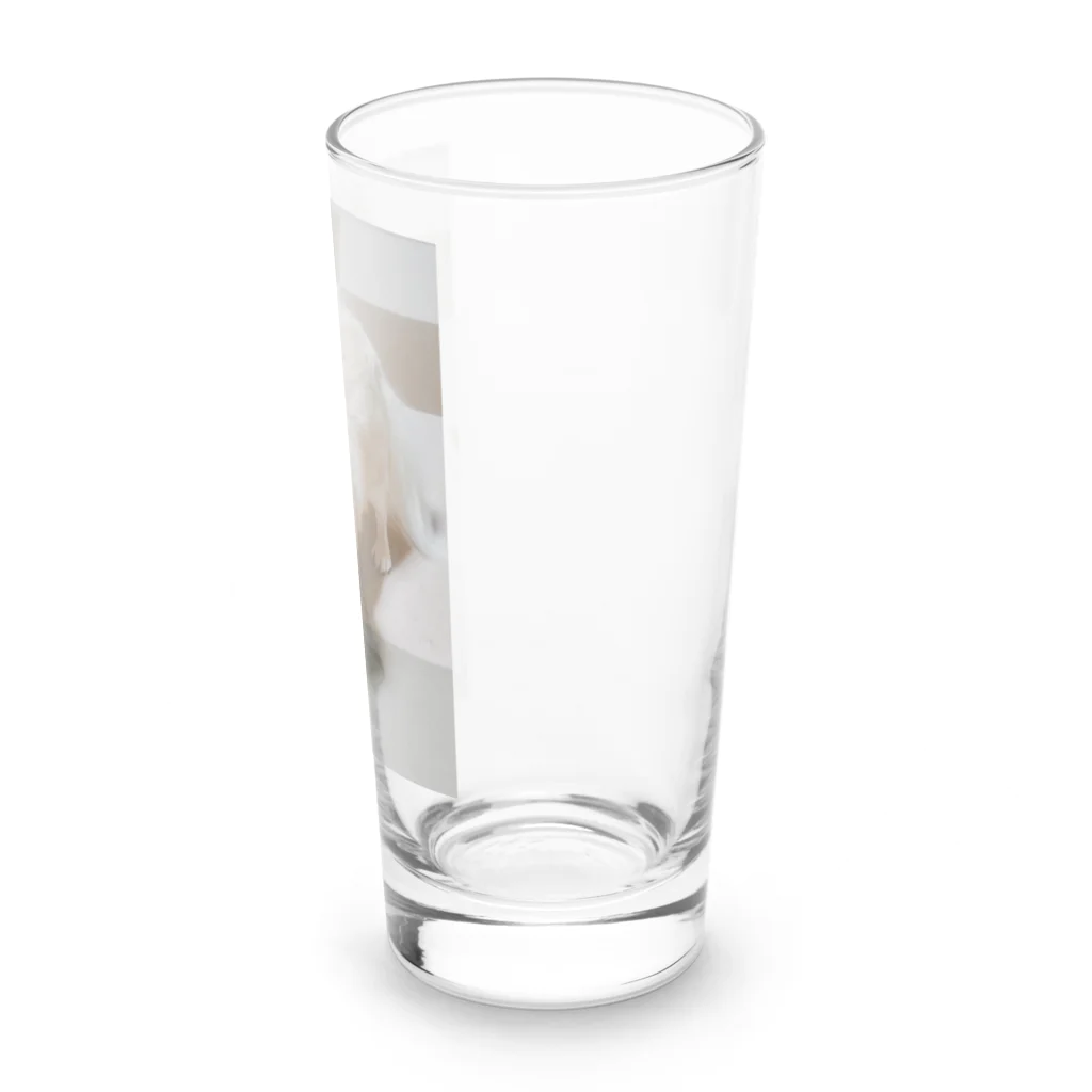 narunomiyaのアミー6 Long Sized Water Glass :right