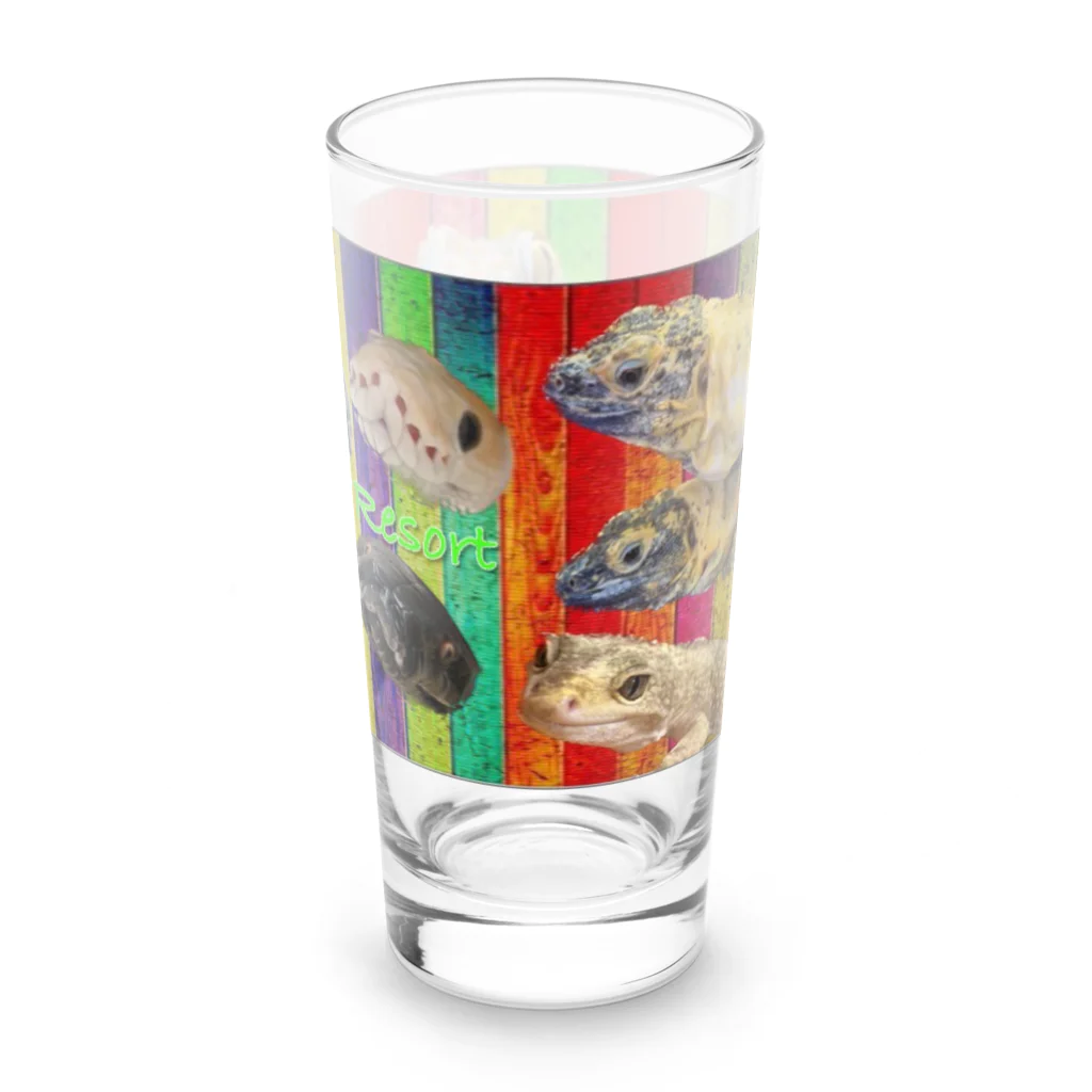 レプタイルズリゾートのレプリゾ③ Long Sized Water Glass :right