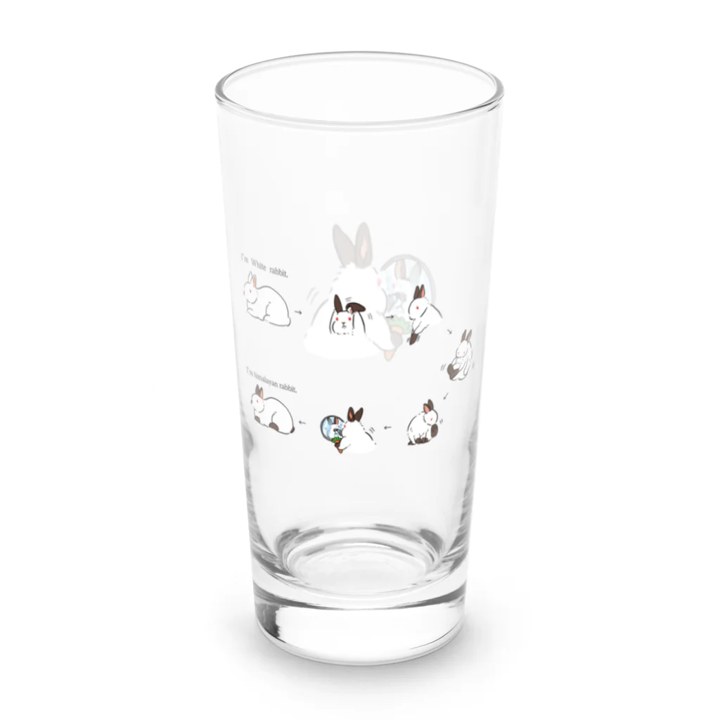 スタジオレッキスの白うさぎからヒマラヤンに変身！ Long Sized Water Glass :right