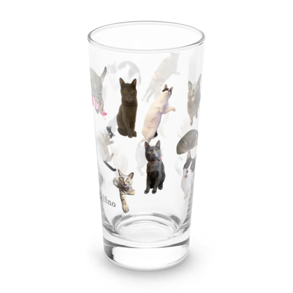 愛猫家のマロリコデルフィーノ Long Sized Water Glass :right