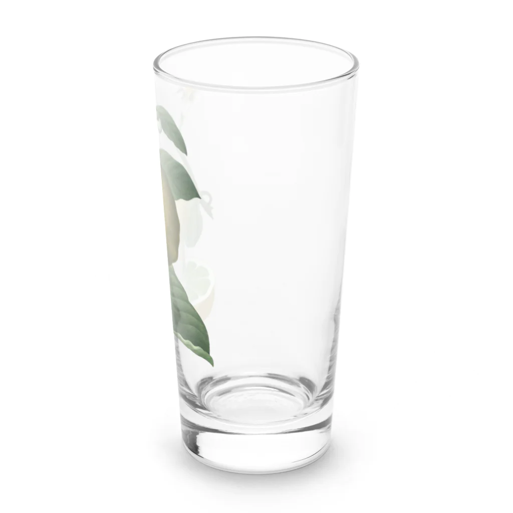 Saza-nami Antique designのシトラス Long Sized Water Glass :right