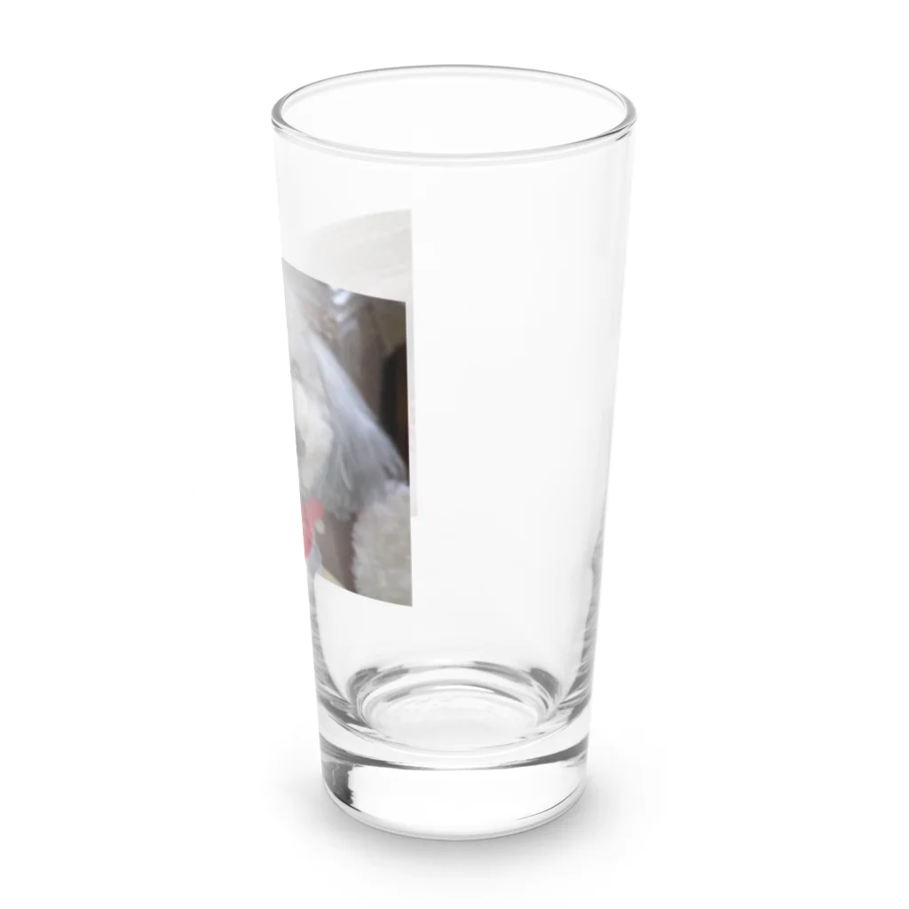 iyasinceのお犬好し「ぱぁるたん」コミュニケーション能力 Long Sized Water Glass :right