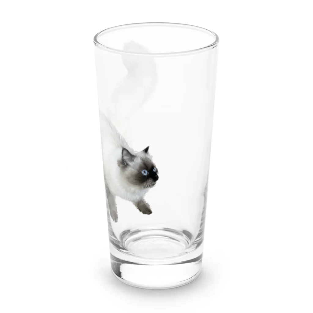 おだいのヴァルキリー Long Sized Water Glass :right