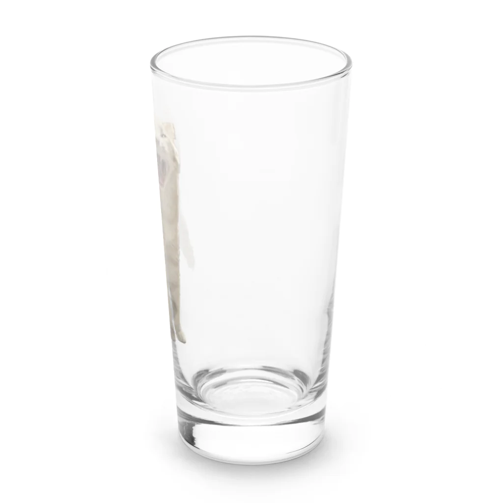 茶トラねこずのあくび猫のシロ Long Sized Water Glass :right