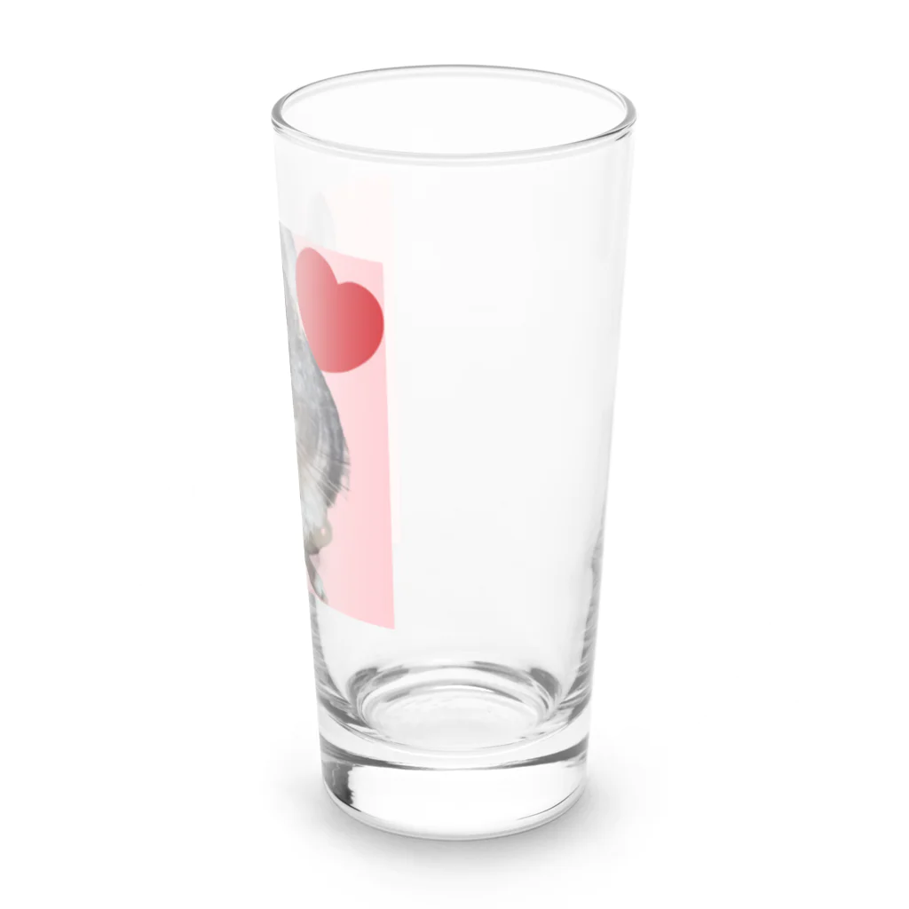 さおりんとチンチラのお家のチンチラブラックパール Long Sized Water Glass :right