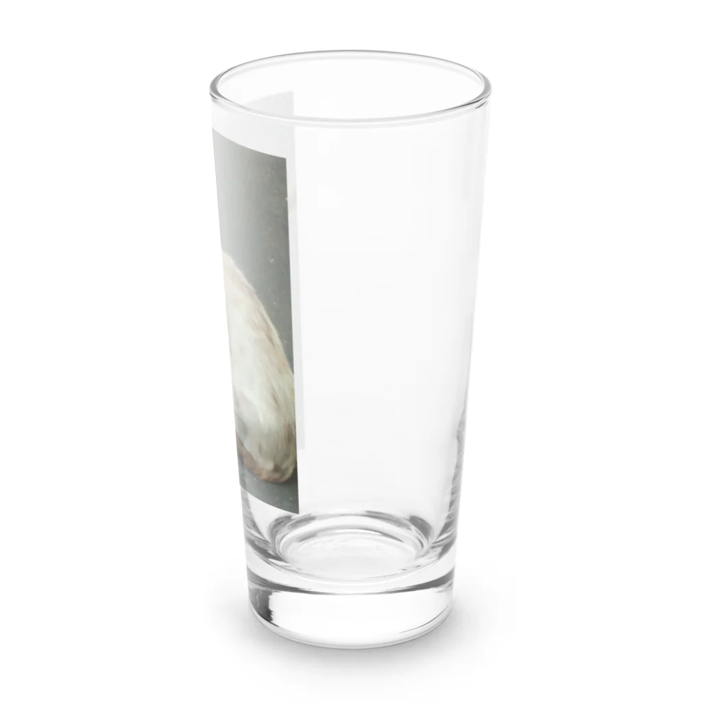 空屋　sorayakusakaの201408161744000　焦げ目の猫 Long Sized Water Glass :right