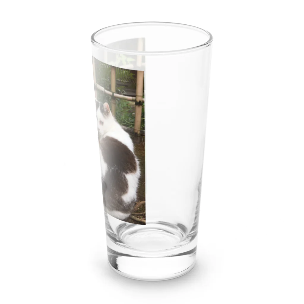 travelohayuの振り返り美猫図 Long Sized Water Glass :right