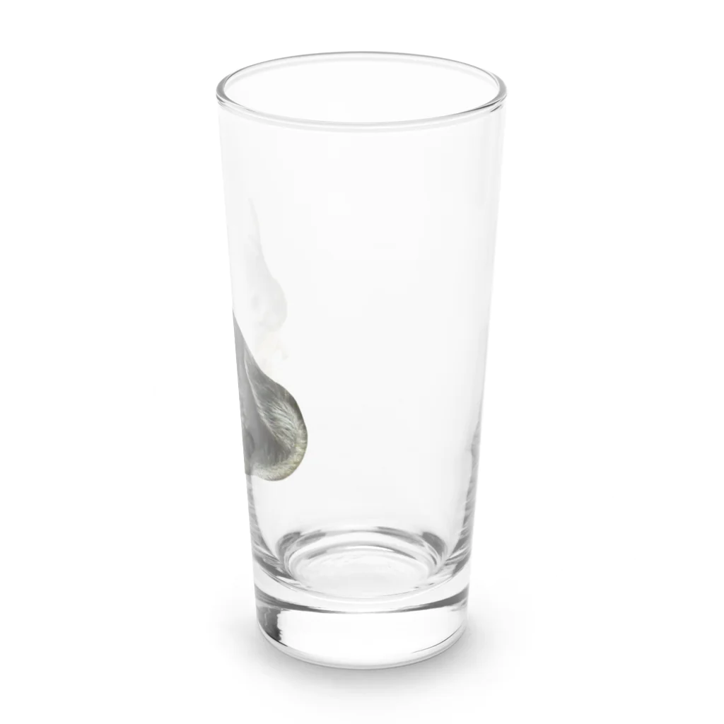 いきもの大好き！ほほえみフレンズのチンチラが好きな人の為のアイテム Long Sized Water Glass :right