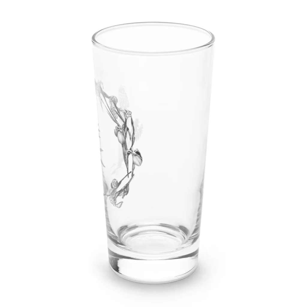 pliska のVinok Long Sized Water Glass :right