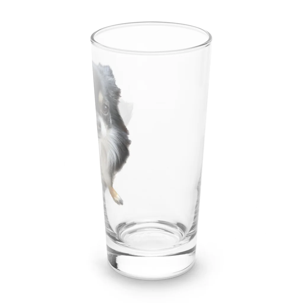 ちわわのりんちゃんのちわわのりんちゃん Long Sized Water Glass :right