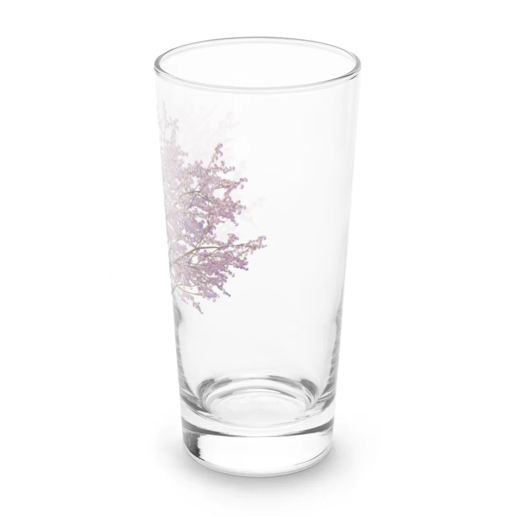 sakura365の一本桜 by sakura365 Long Sized Water Glass :right