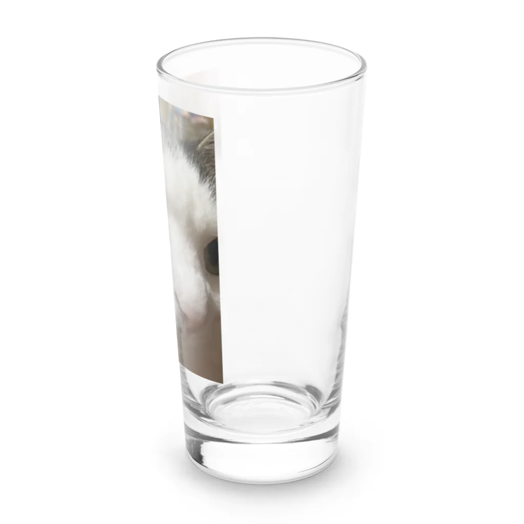 わが家の猫山さん。の猫山さん。はるがきた。 Long Sized Water Glass :right