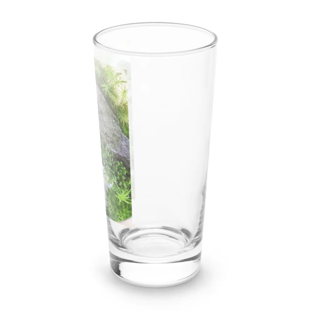 アトリエWindwingの苔テラリウム　雅 Long Sized Water Glass :right