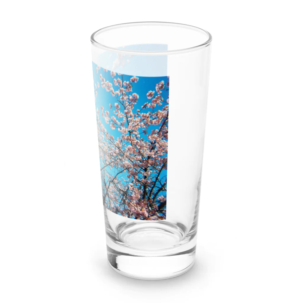 堕天使ストアの桜 Long Sized Water Glass :right