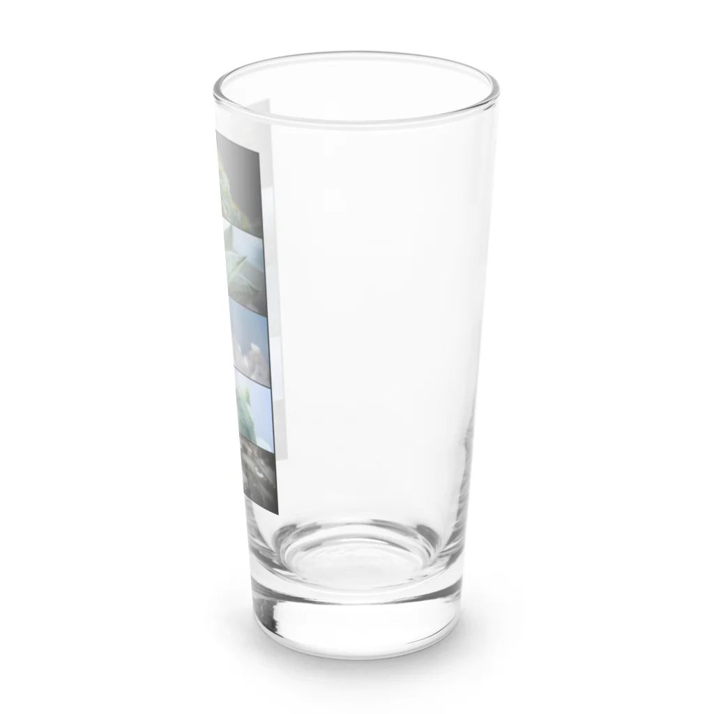 殿下と爬虫類。の多肉植物のある生活 Long Sized Water Glass :right