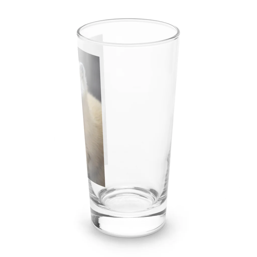 sw950502のホンドテン Long Sized Water Glass :right