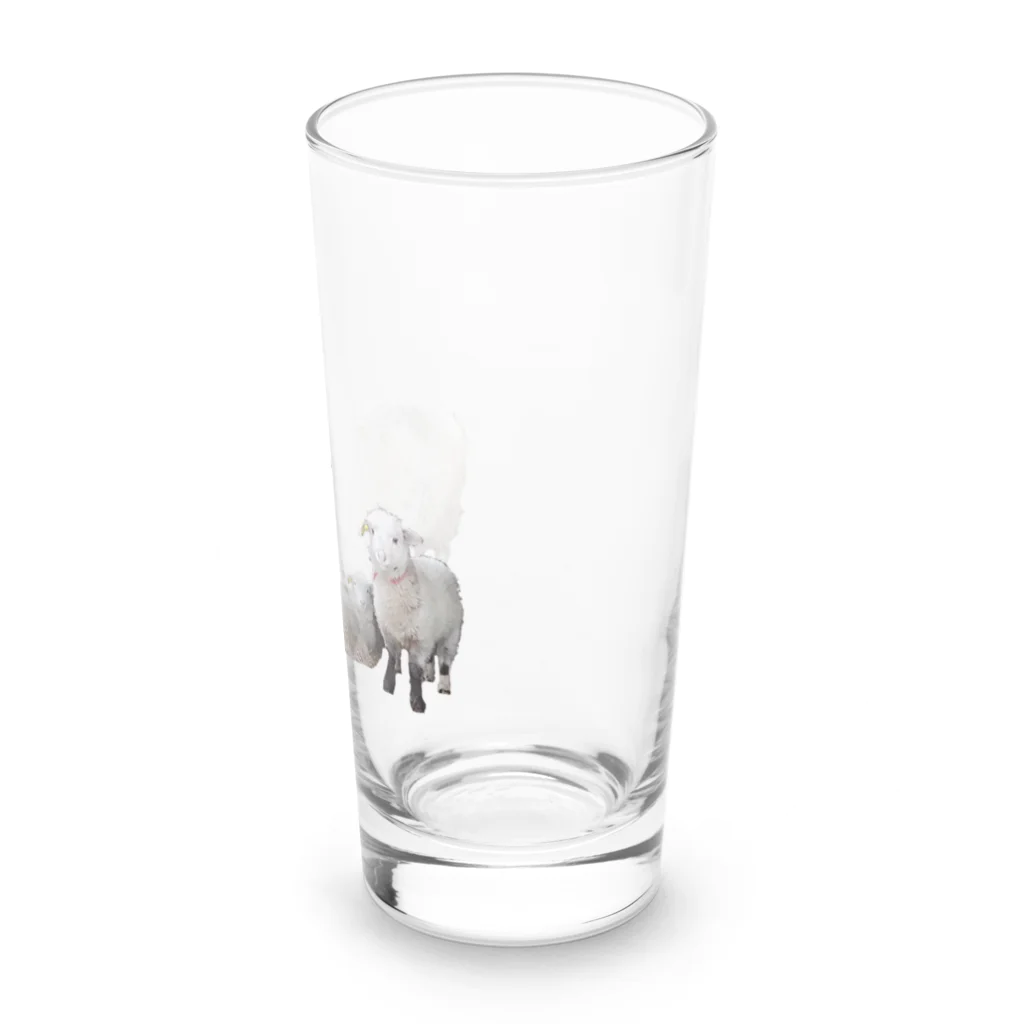 旅するナースの仔羊ルミ子 Long Sized Water Glass :right