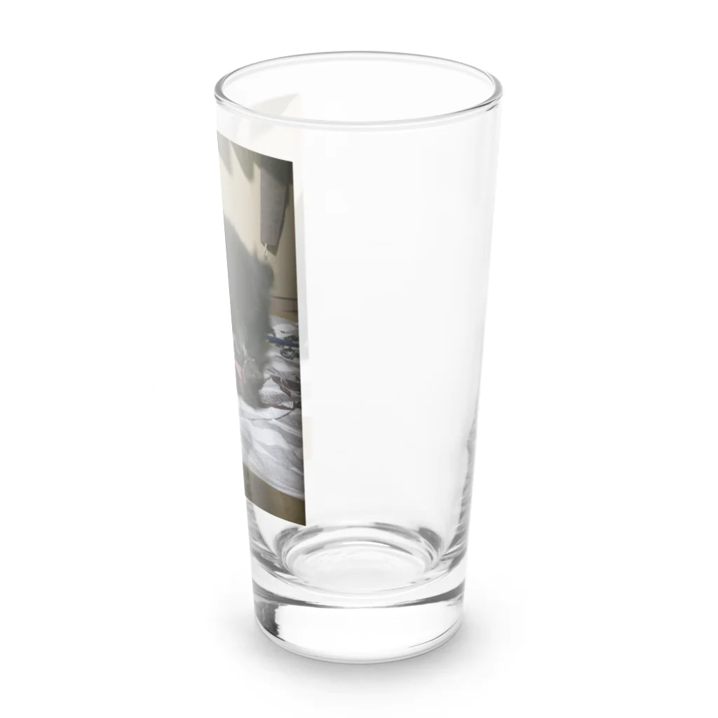 ♡（ぺるしゃむ）のぺろっとくろぽめ！ Long Sized Water Glass :right