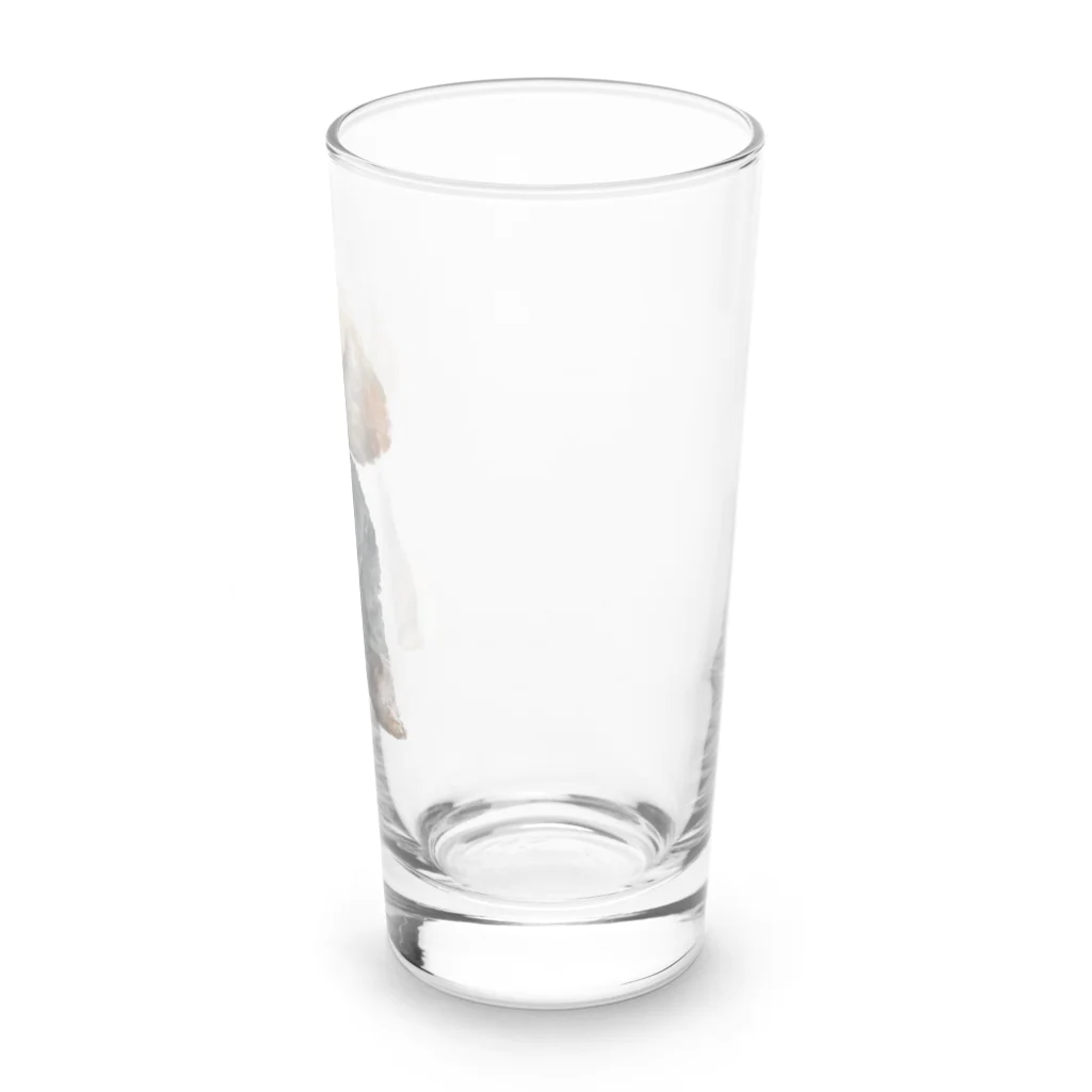 MeiMei✽のタキシードプードル Long Sized Water Glass :right