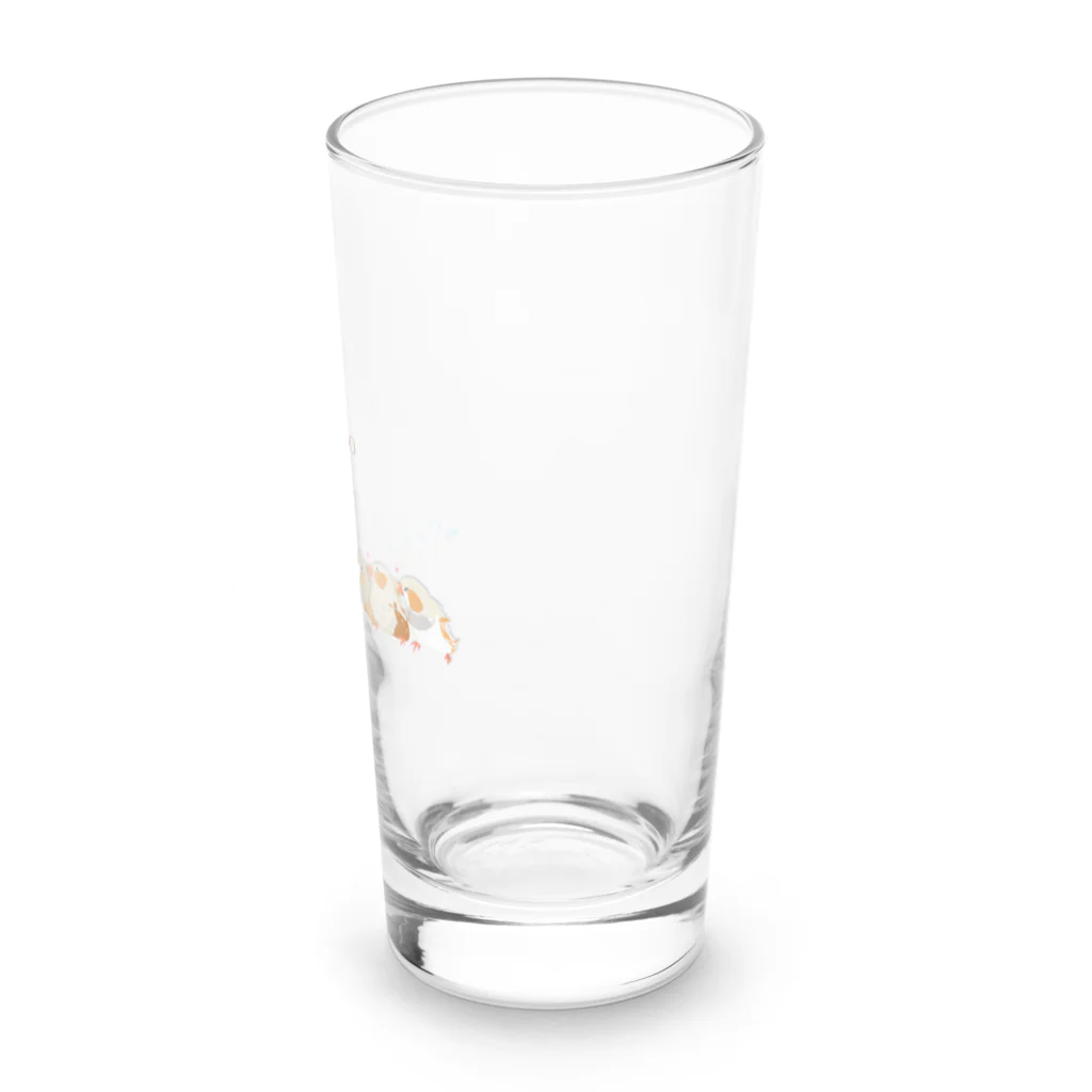 雛乃の文鳥グッズ屋さんのキンカチョウのネモフィラデザイン Long Sized Water Glass :right