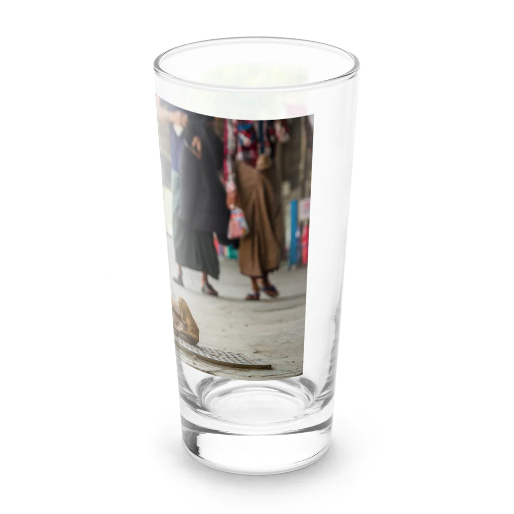 Second_Life_of_Railwaysのマンダレー駅に住む子犬とキハ40系 Long Sized Water Glass :right