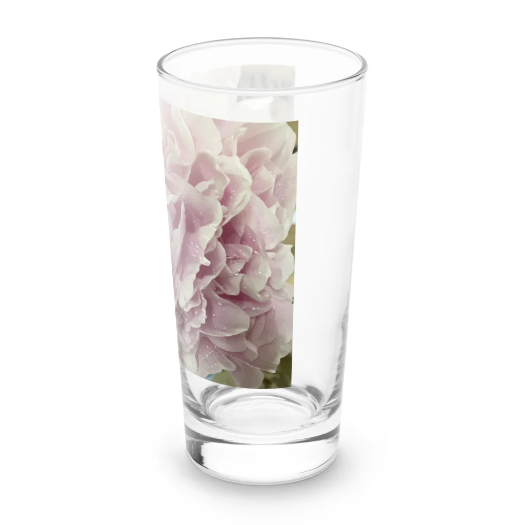 米農家の絵描きのうちの芍薬 Long Sized Water Glass :right