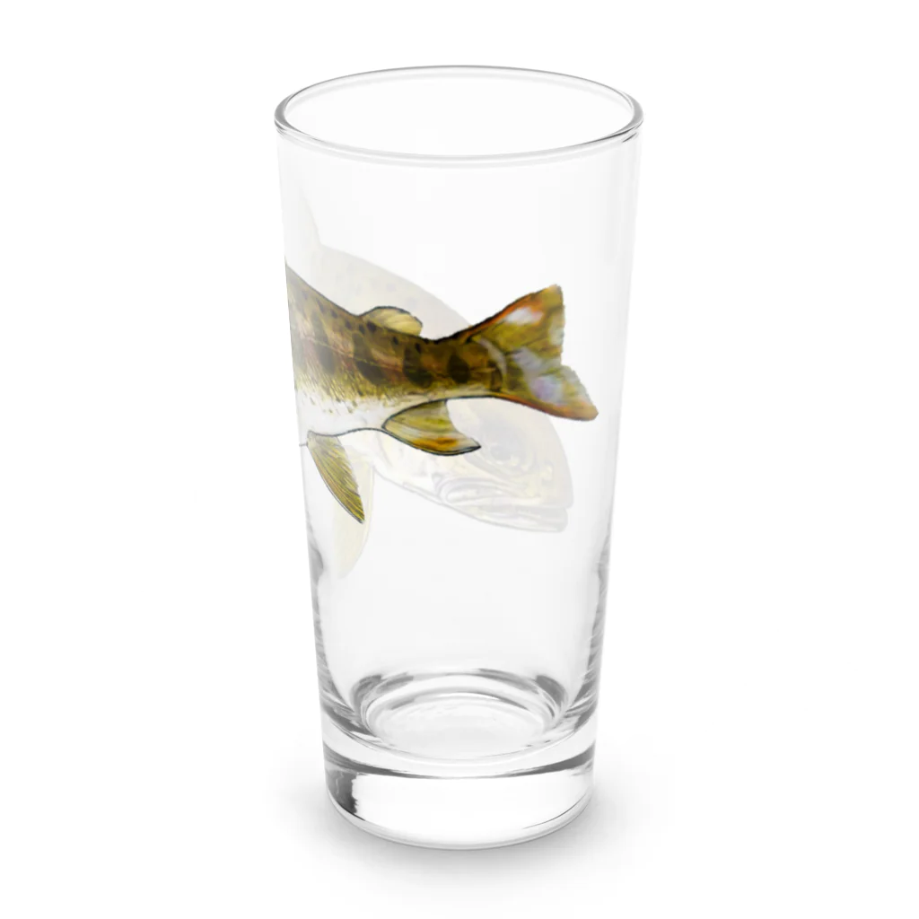 魚…ですか？のアマゴ Long Sized Water Glass :right