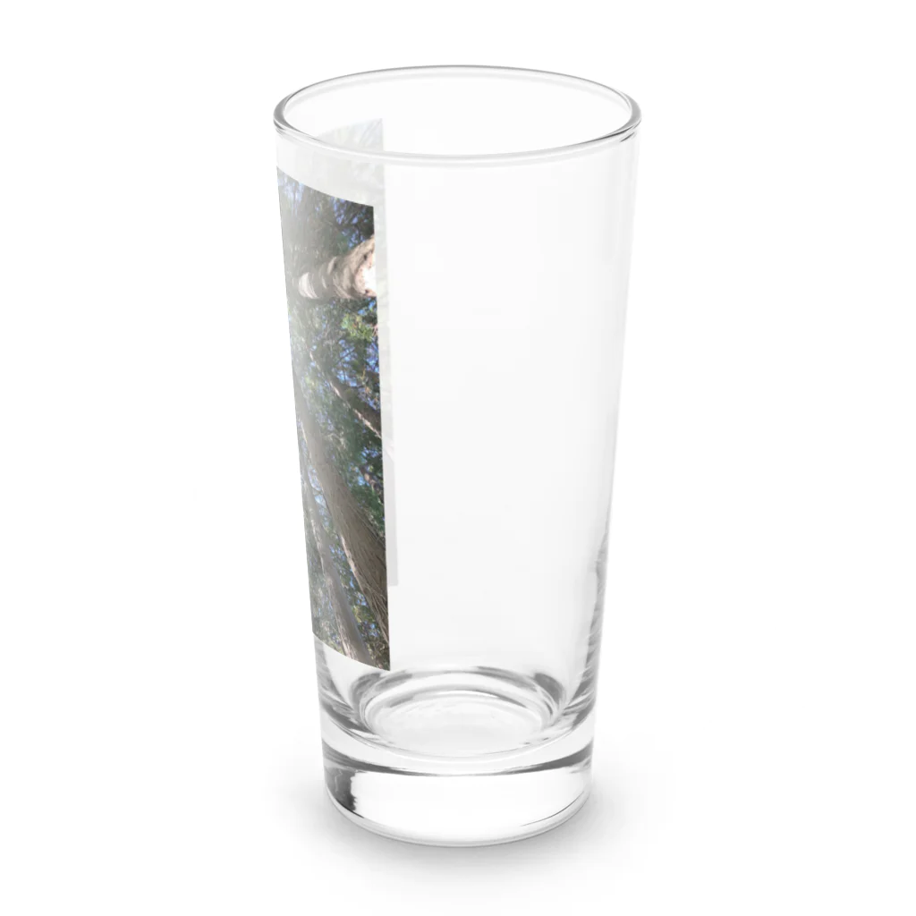 FIRE FLYのお山の木々 Long Sized Water Glass :right