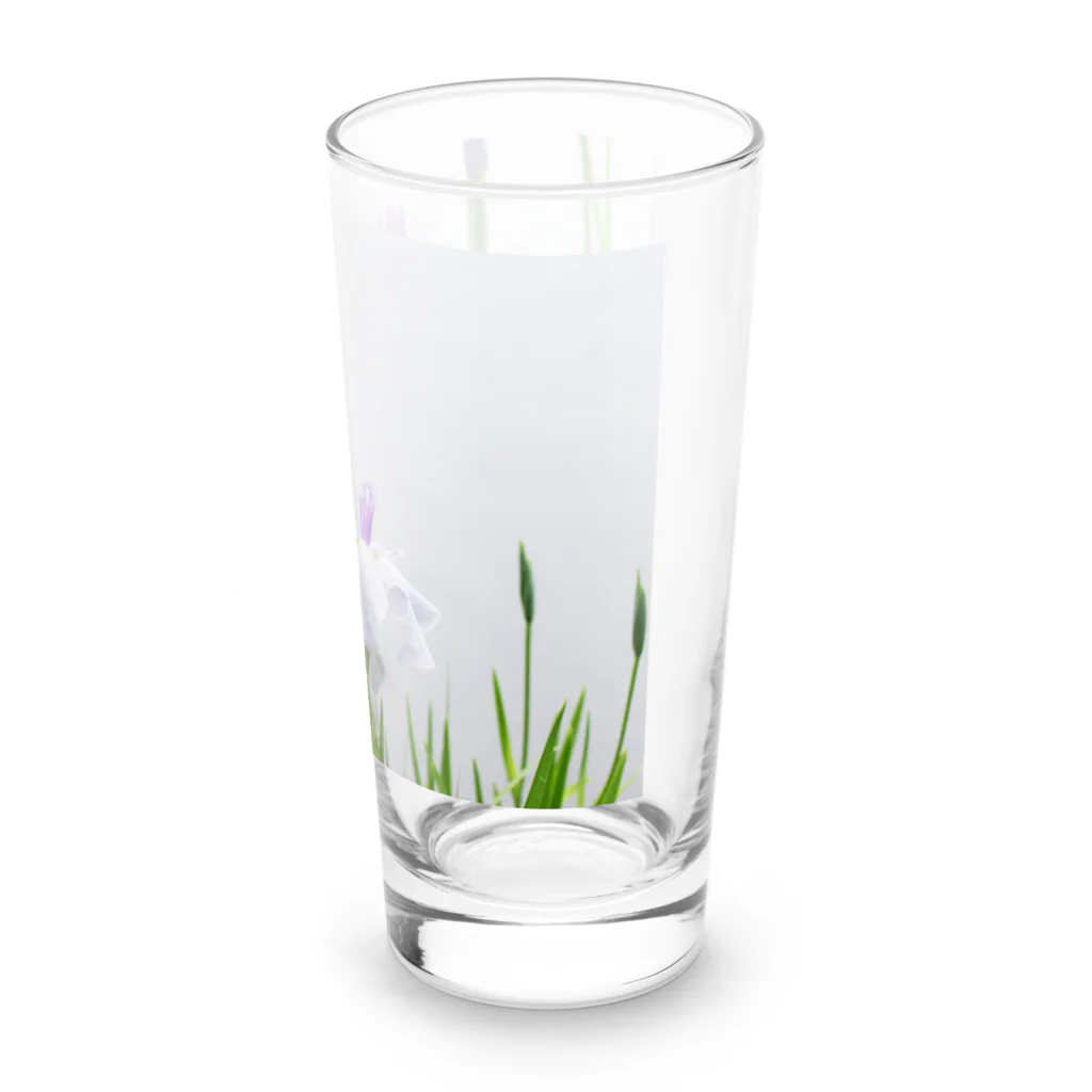 akane_art（茜音工房）の癒しの風景（花菖蒲） Long Sized Water Glass :right